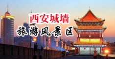 嗯嗯嗯嗯嗯好多水动态图在线观看中国陕西-西安城墙旅游风景区